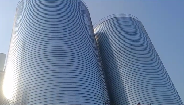 江边乡2座混凝土高架卷板仓